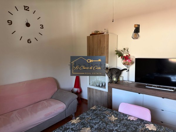 appartamento in affitto a Fauglia in zona Acciaiolo