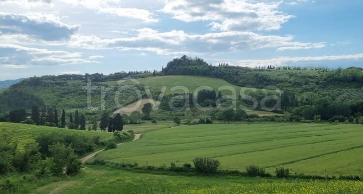 appartamento in affitto a Fauglia