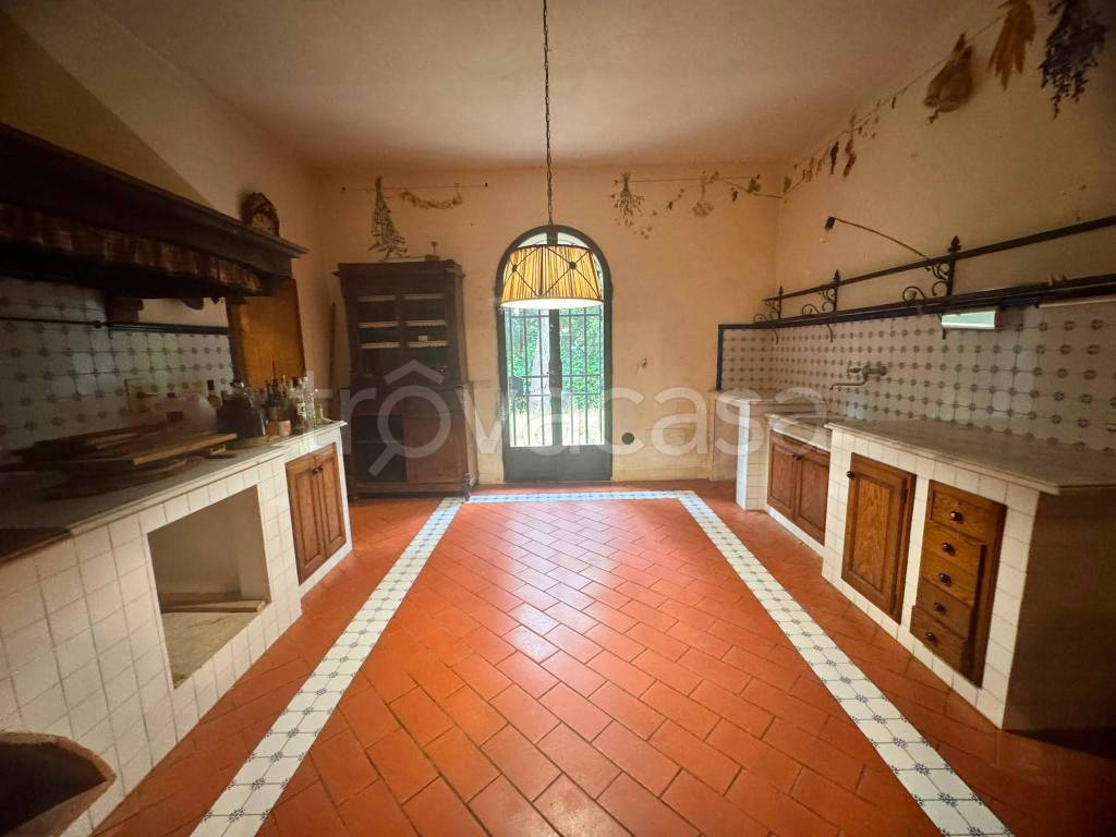 appartamento in affitto a Fauglia