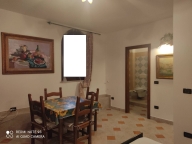 casa indipendente in affitto a Fauglia