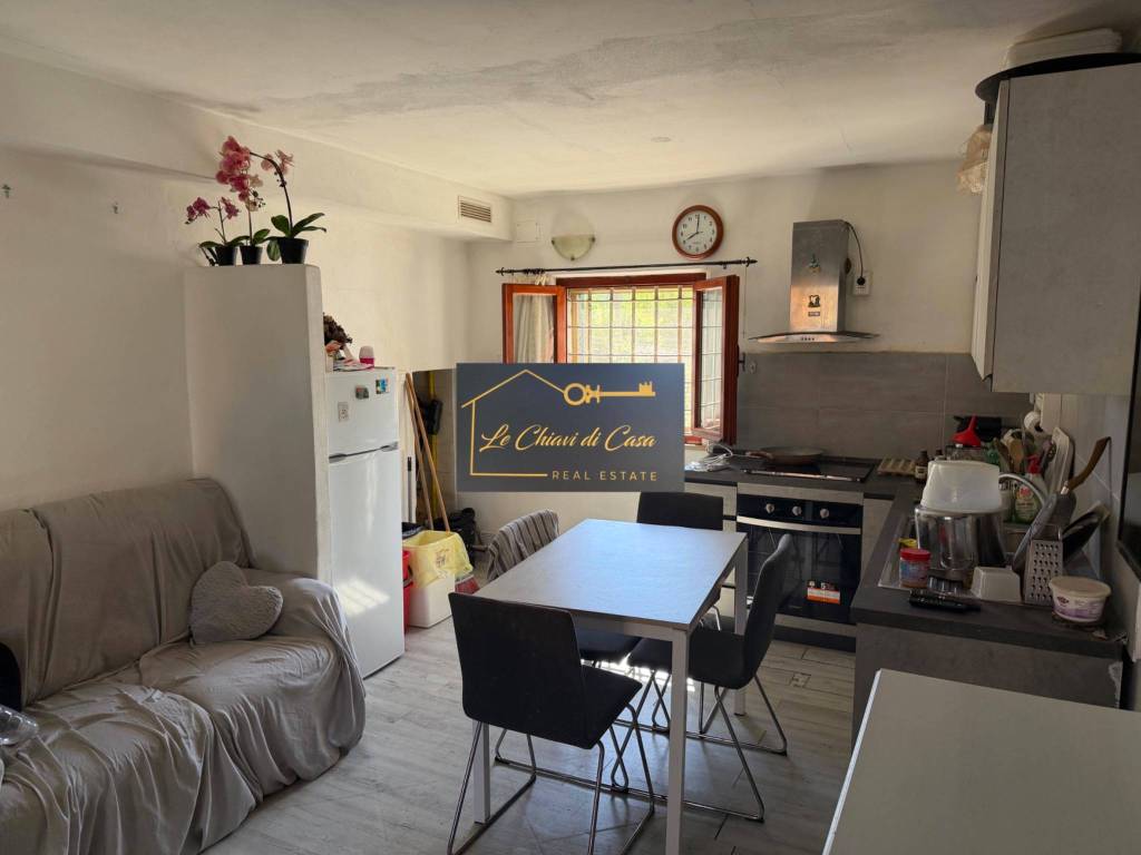 appartamento in affitto a Fauglia in zona Acciaiolo