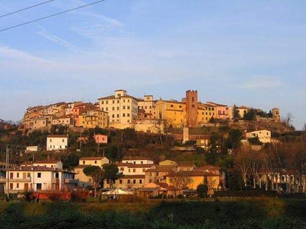 locale commerciale in affitto a Montopoli in Val d'Arno
