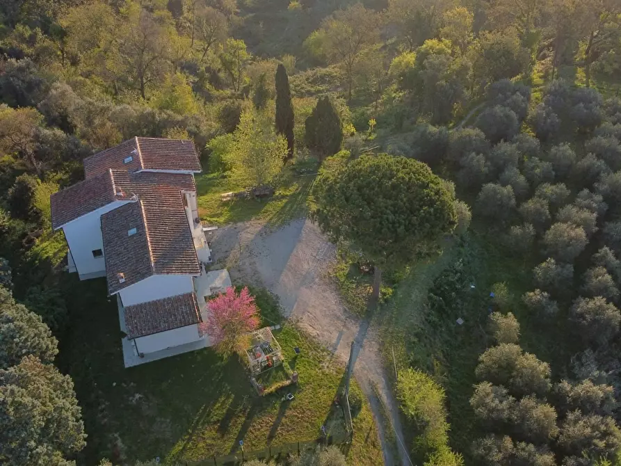 appartamento in affitto a Montopoli in Val d'Arno