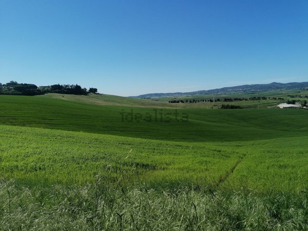 appartamento in affitto ad Orciano Pisano