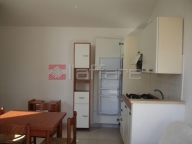 appartamento in affitto a Palaia