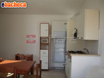 appartamento in affitto a Palaia