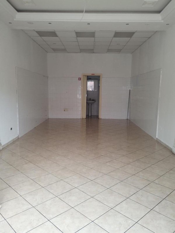 negozio in affitto a Palaia