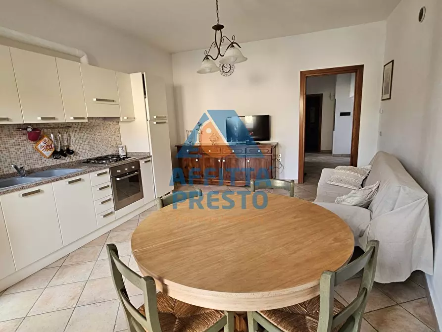 appartamento in affitto a Palaia