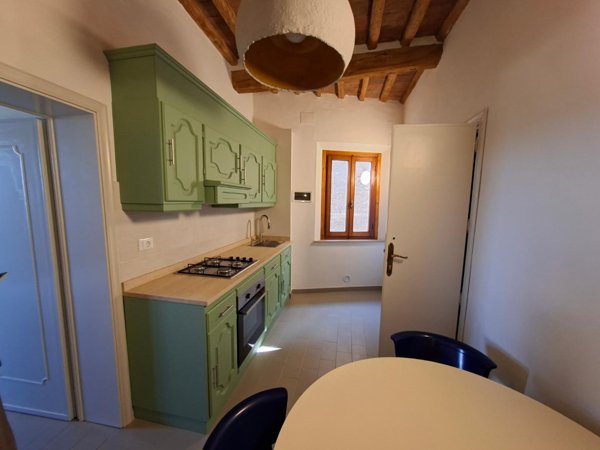 appartamento in affitto a Palaia in zona Partino