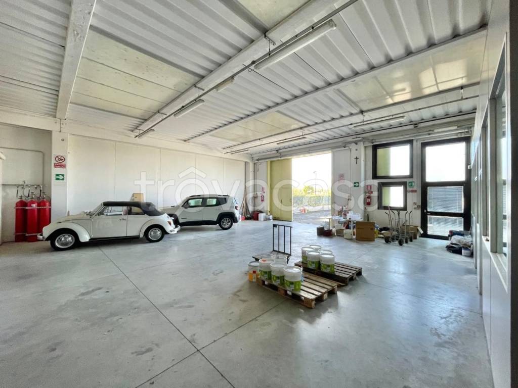 locale commerciale in affitto a Peccioli