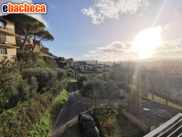 appartamento in affitto a Peccioli