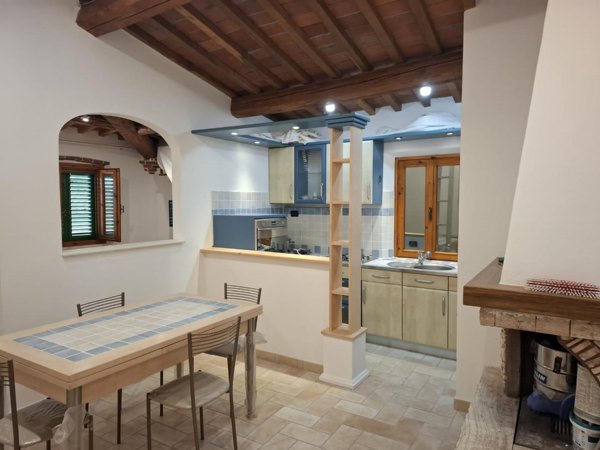appartamento in affitto a Peccioli