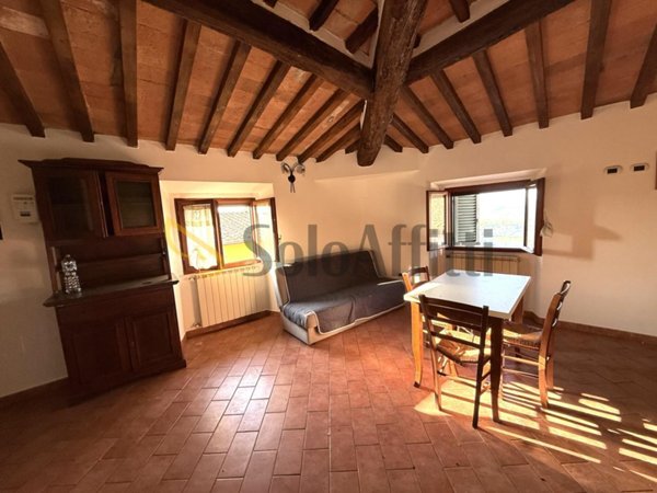 appartamento in affitto a Peccioli