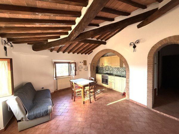 appartamento in affitto a Peccioli