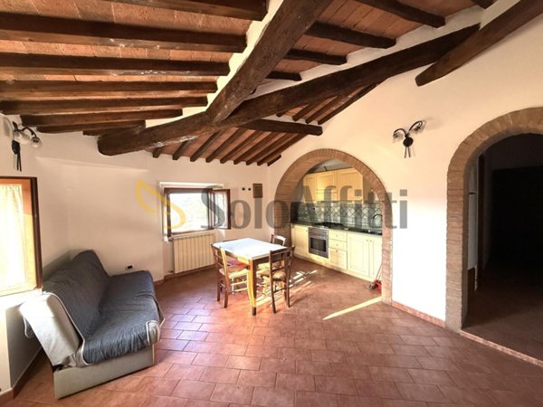 appartamento in affitto a Peccioli