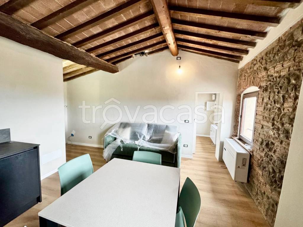 appartamento in affitto a Peccioli