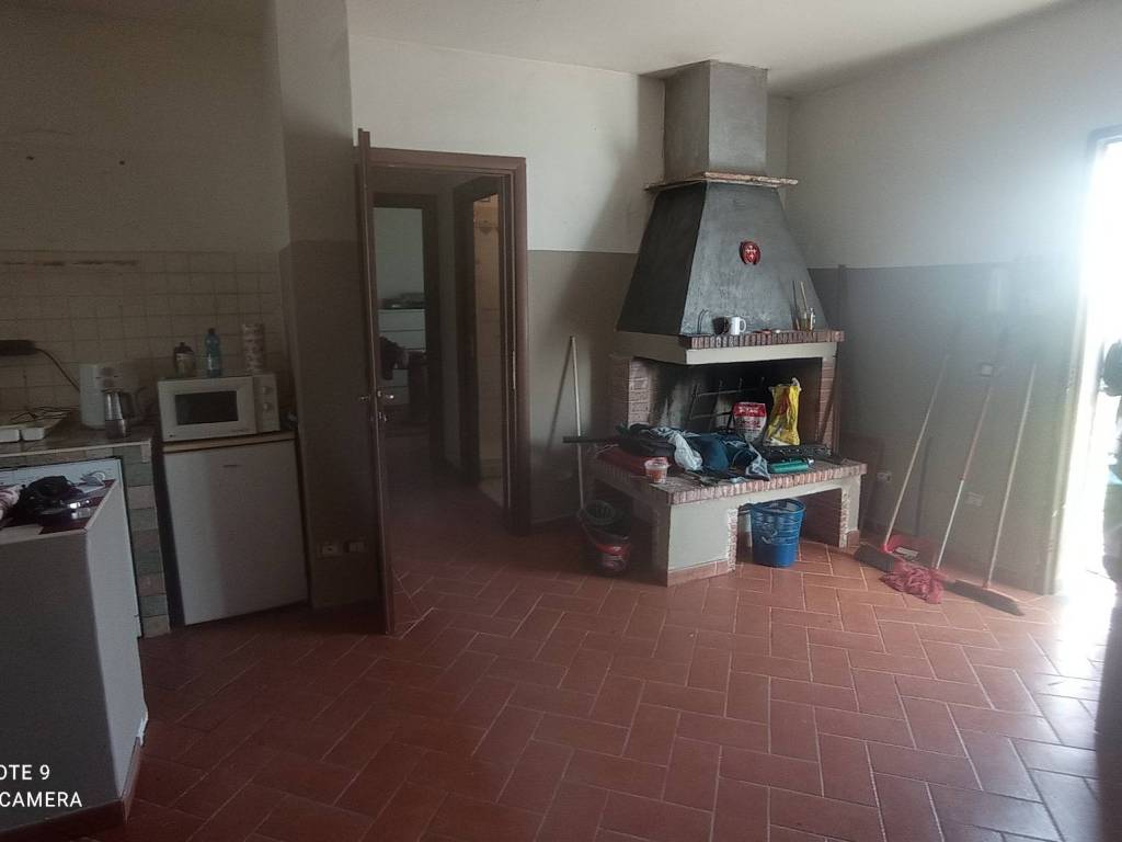 casa indipendente in affitto a Pisa in zona Coltano