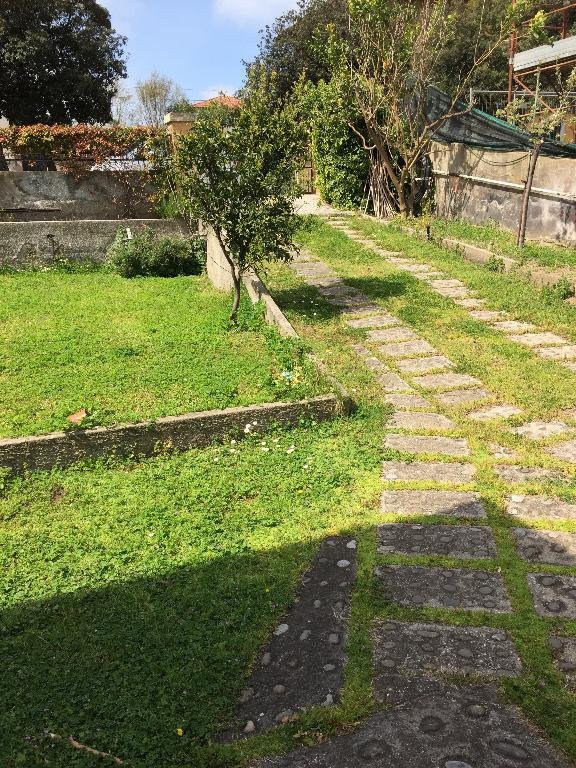 appartamento in affitto a Pisa in zona Marina di Pisa
