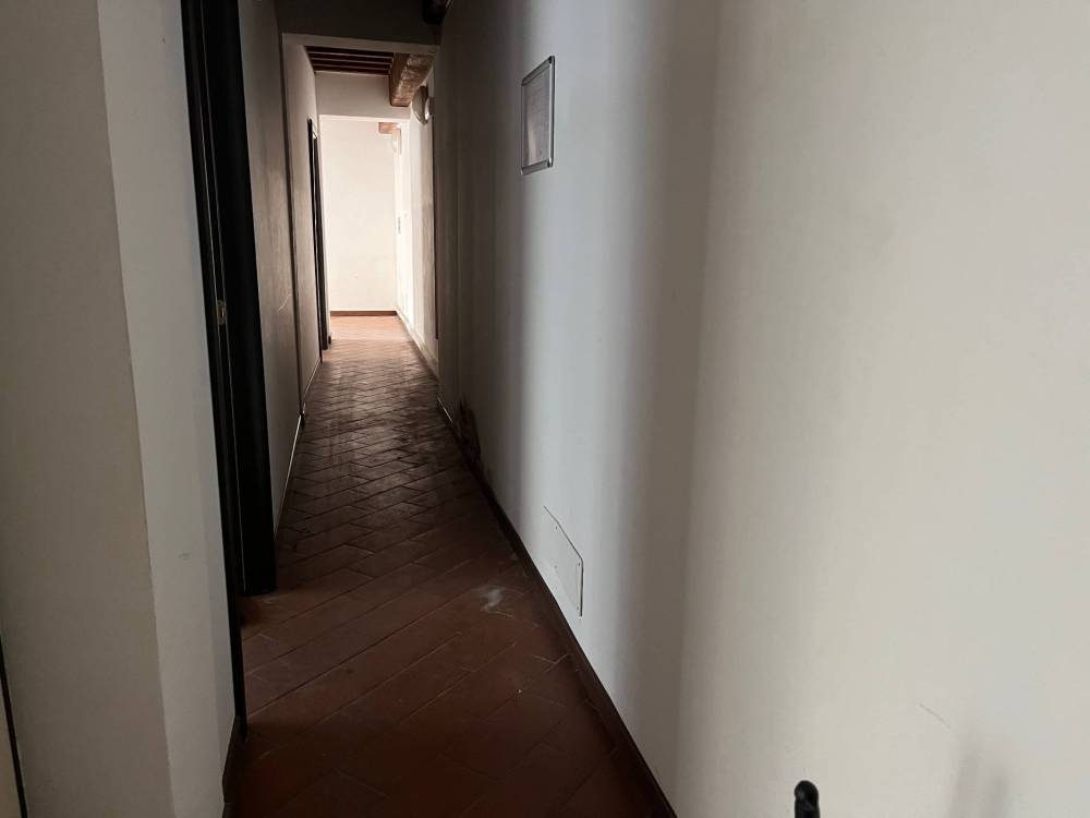 negozio in affitto a Pisa
