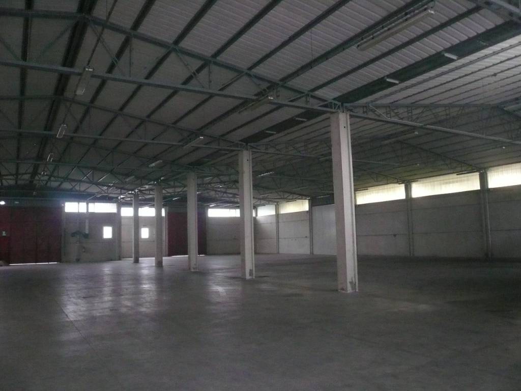 locale commerciale in affitto a Pisa in zona Coltano