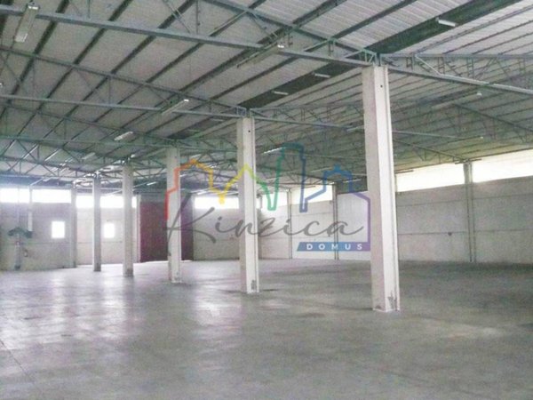 locale commerciale in affitto a Pisa in zona Ospedaletto