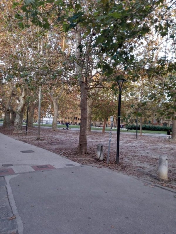 locale commerciale in affitto a Pisa in zona Quartiere San Francesco