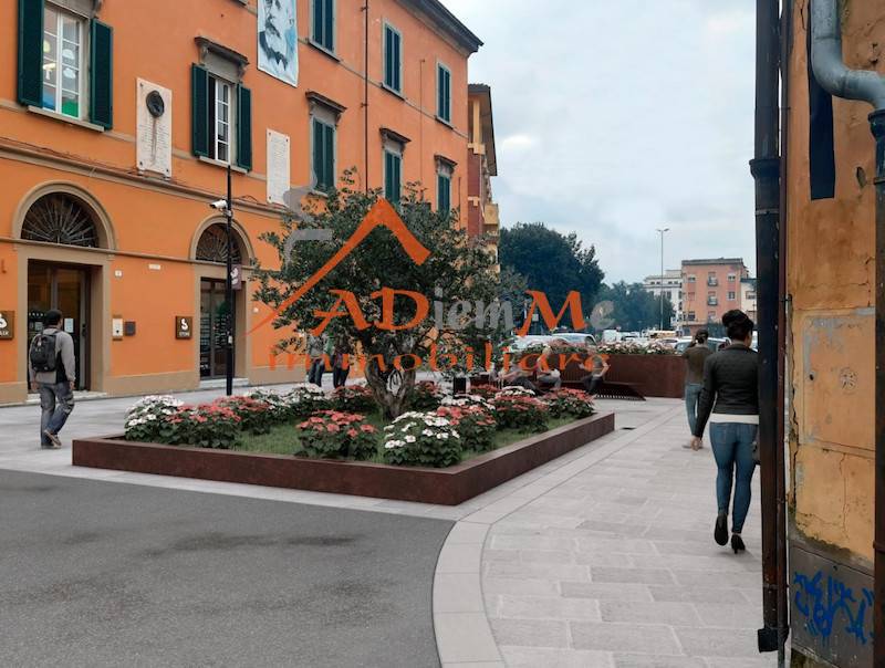 locale commerciale in affitto a Pisa in zona Quartiere San Martino