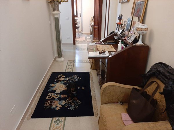 appartamento in affitto a Pisa in zona Porta a Lucca