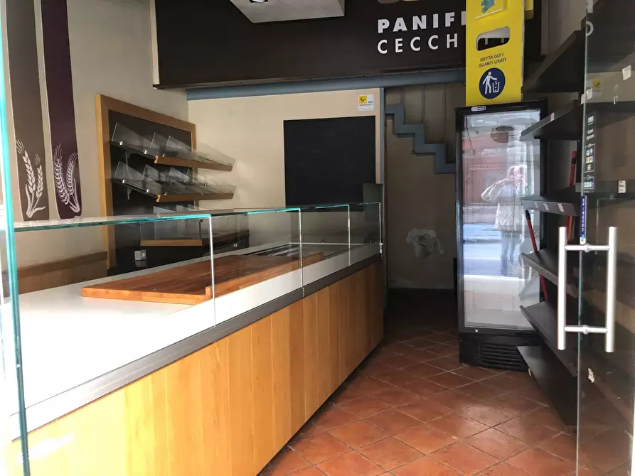 negozio in affitto a Pisa in zona Quartiere San Martino