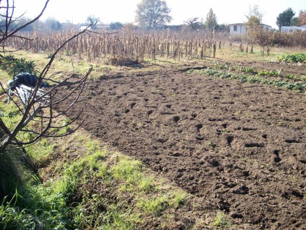 terreno agricolo in affitto a Pisa in zona Le Piagge