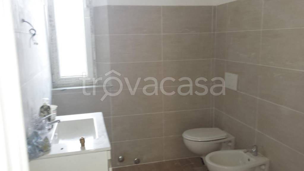 appartamento in affitto a Pisa in zona Porta a Lucca