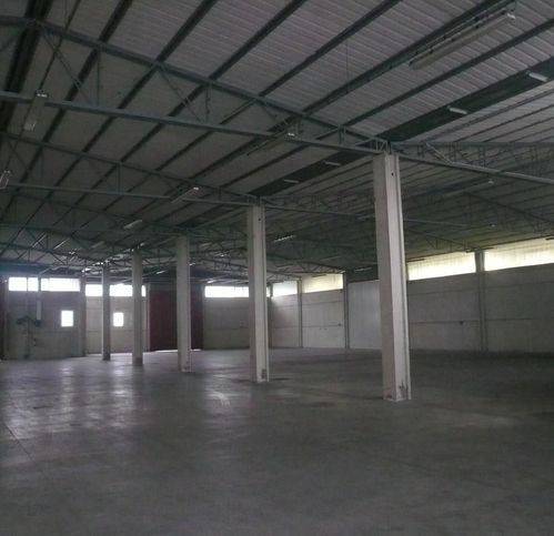 locale commerciale in affitto a Pisa in zona Ospedaletto