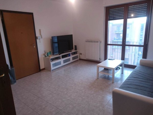 appartamento in affitto a Pisa
