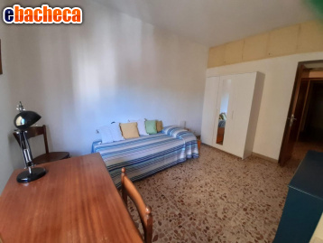 appartamento in affitto a Pisa in zona Pratale / Don Bosco