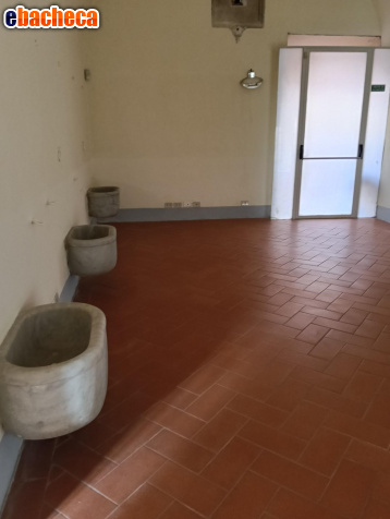 ufficio in affitto a Pisa in zona Quartiere Santa Maria