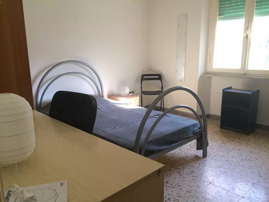 appartamento in affitto a Pisa in zona Quartiere San Giusto