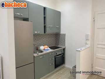 appartamento in affitto a Pisa in zona Lungarni