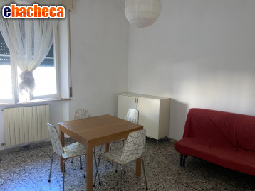 appartamento in affitto a Pisa in zona Quartiere San Francesco