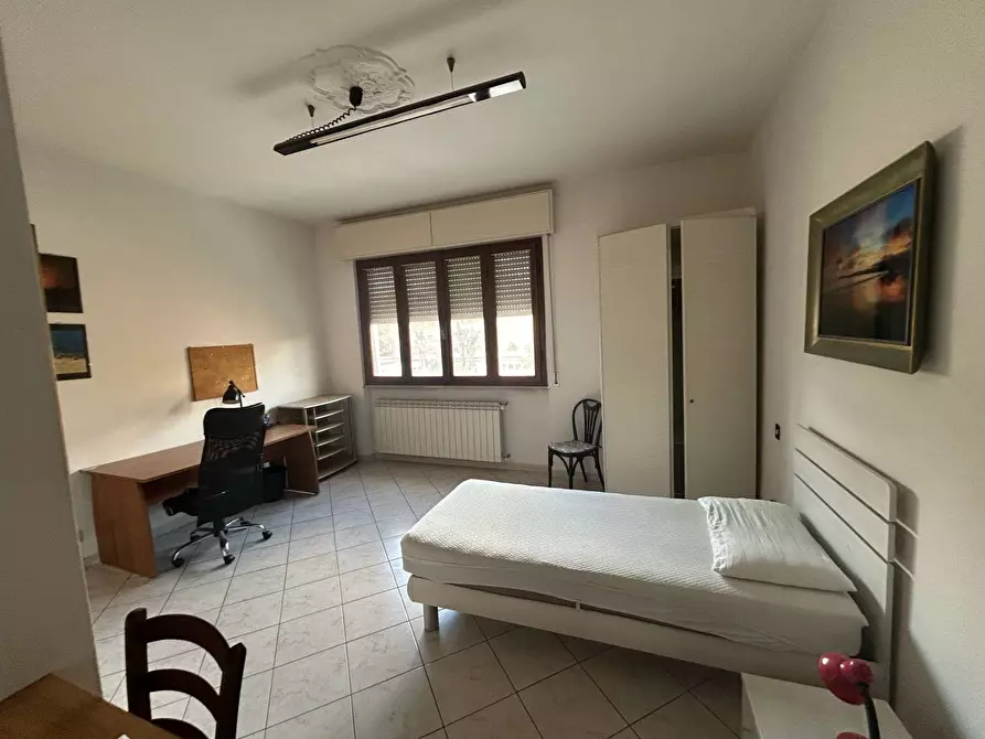 appartamento in affitto a Pisa