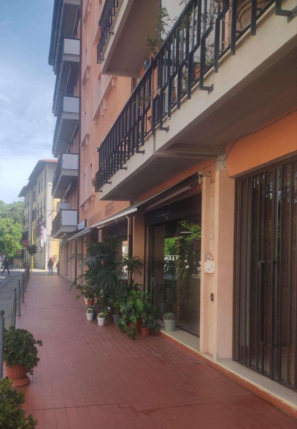 appartamento in affitto a Pisa in zona San Michele