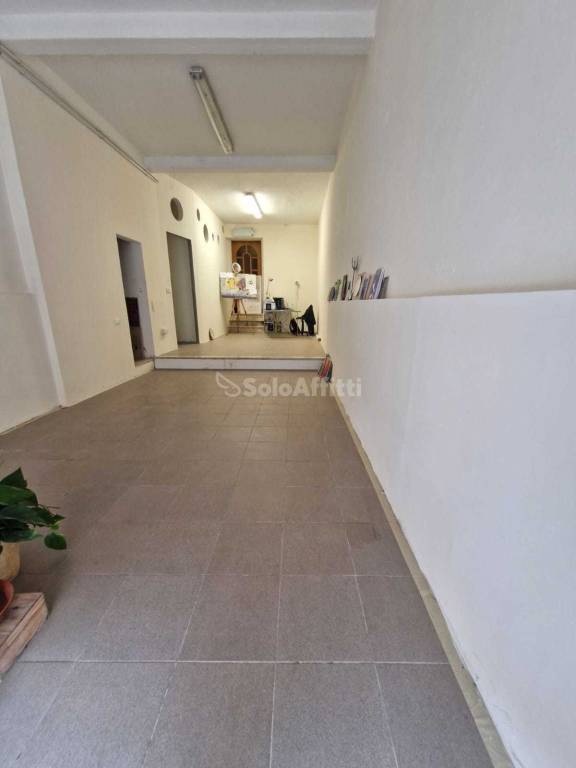 appartamento in affitto a Pisa