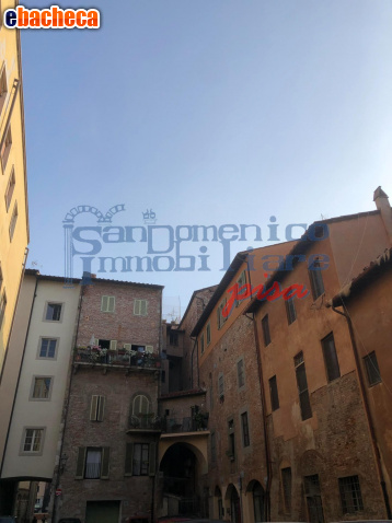appartamento in affitto a Pisa in zona Quartiere San Martino
