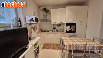 appartamento in affitto a Pisa in zona Quartiere Santa Maria
