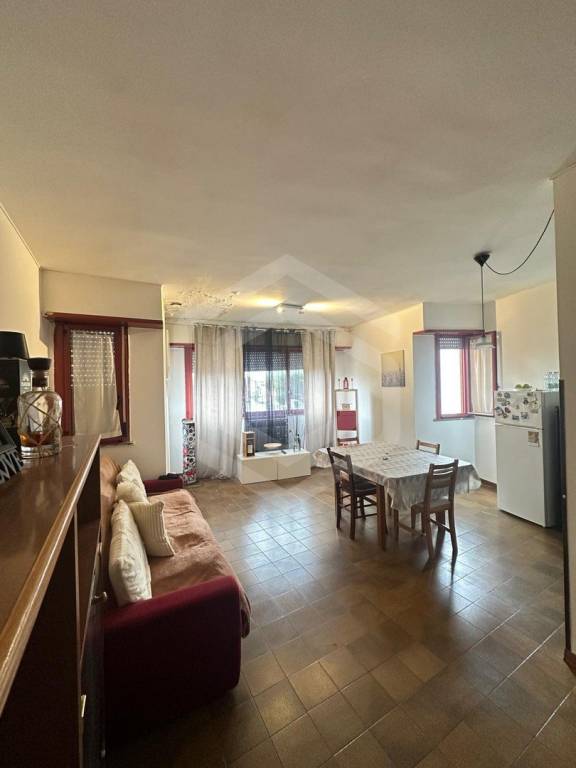 appartamento in affitto a Pisa