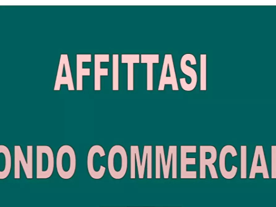 locale commerciale in affitto a Pisa in zona Porta a Lucca