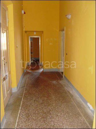 appartamento in affitto a Pisa in zona Quartiere San Martino