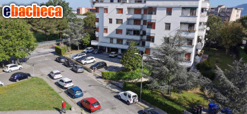 appartamento in affitto a Pisa
