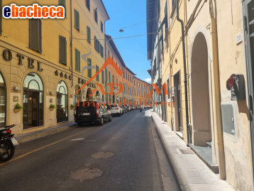 appartamento in affitto a Pisa in zona Quartiere Sant'Antonio