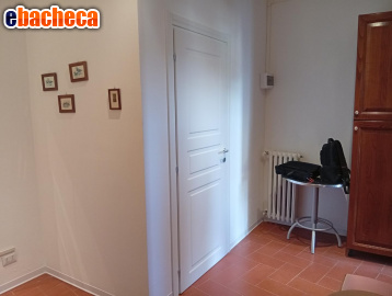 appartamento in affitto a Pisa