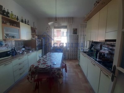 appartamento in affitto a Pisa in zona Quartiere San Giusto